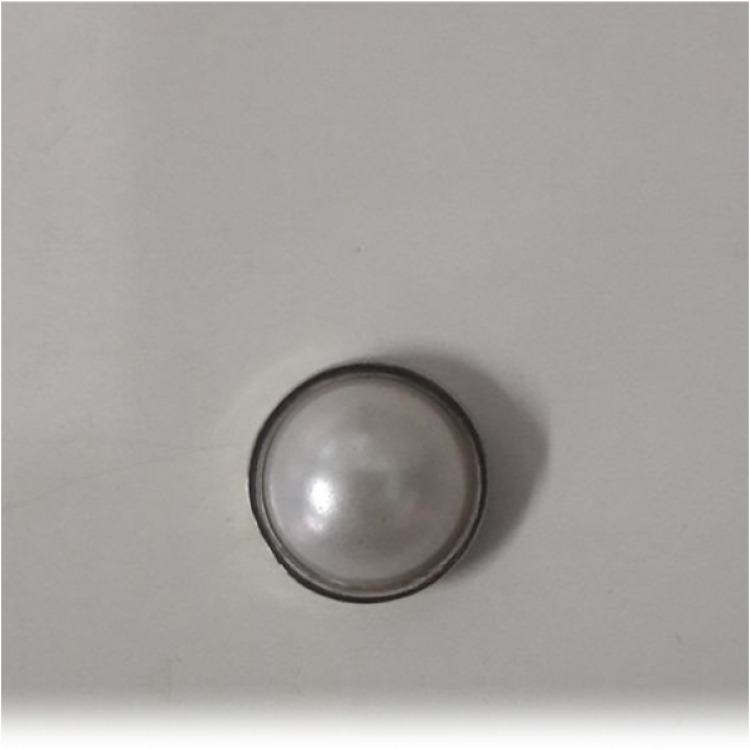 PI-001/15 - PERLA